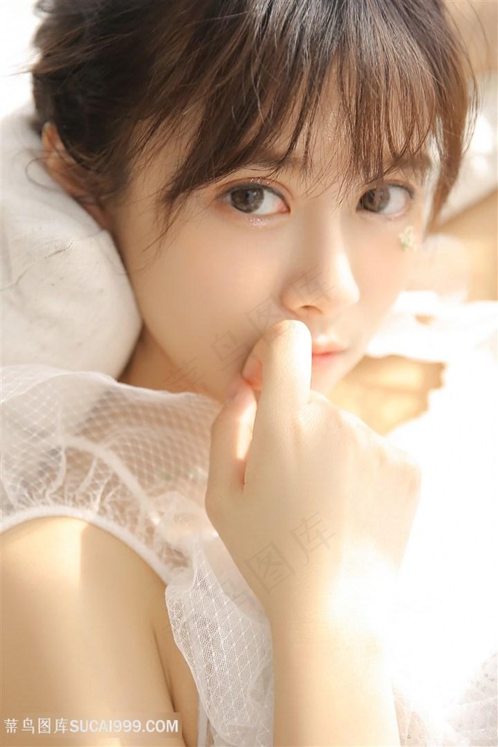 双面勇士分集剧情介绍